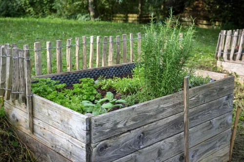 Winter is crucial for raised beds and most people skip the pest prevention step