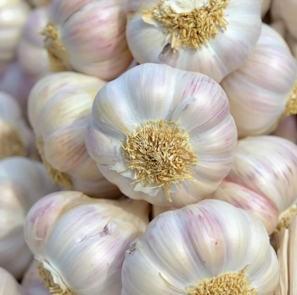 Garlic / Depositphotos