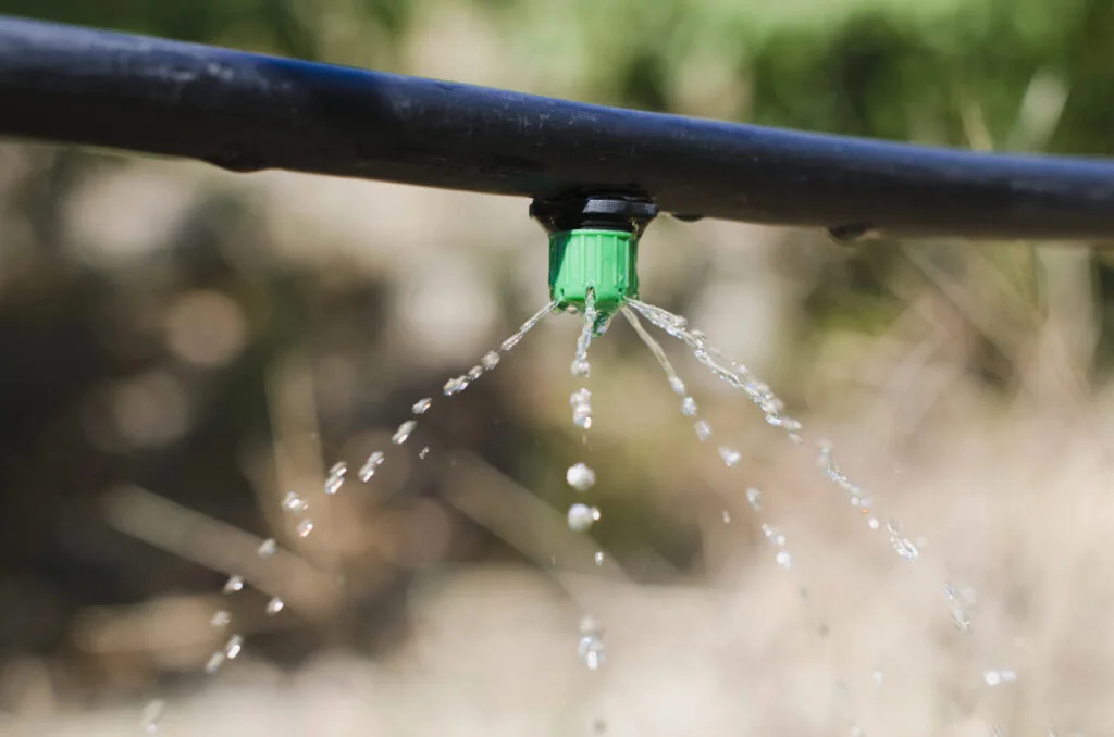 Automatic irrigation / Photo: Depositphotos