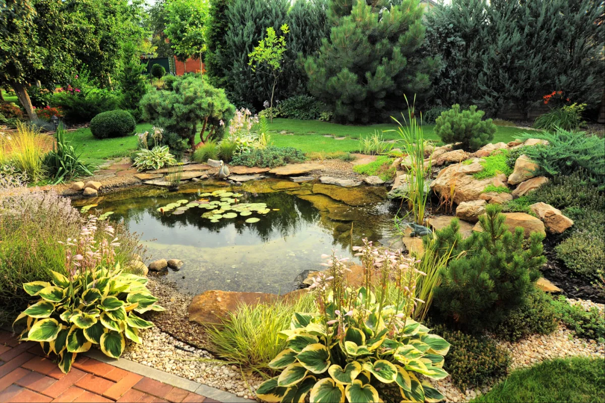 Garden pond / Photo: Depositphotos