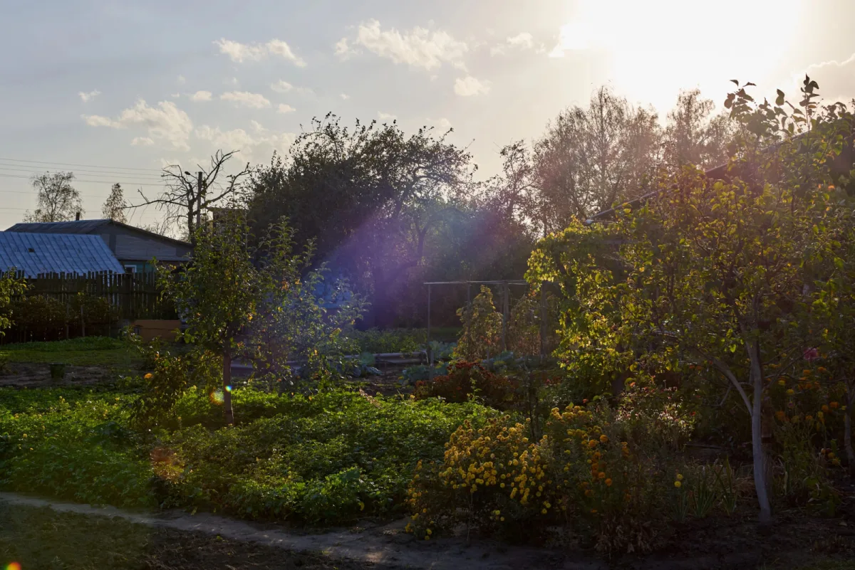Herbstgarten / Foto: Depositphotos