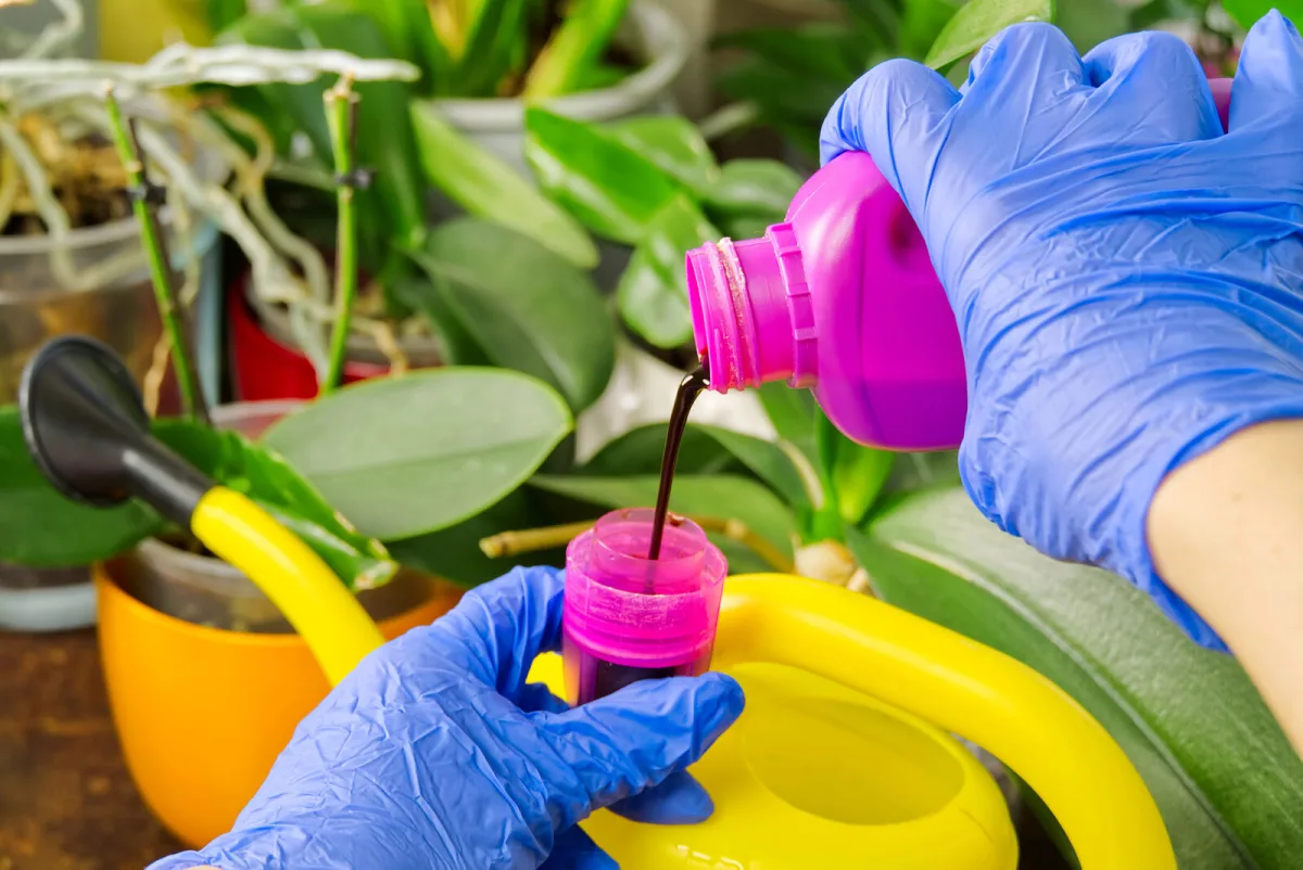 Commercial orchid fertiliser / Photo: Depositphotos