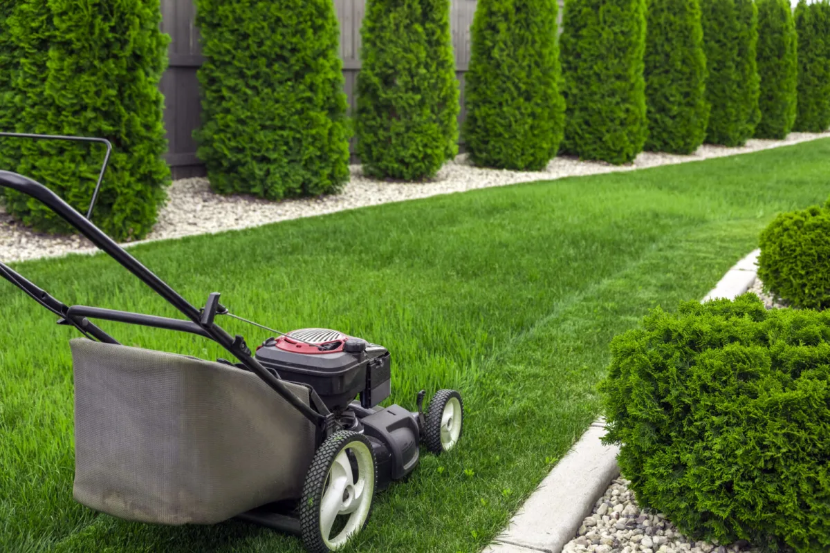 When to Mow the Lawn for the Last Time Before Winter