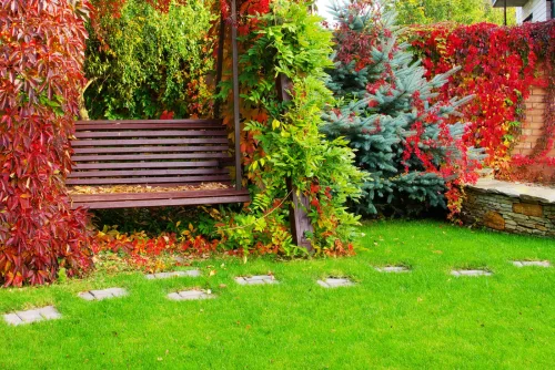 Your Garden Is Getting Ready for Winter, Essential Autumn Jobs Not to Skip