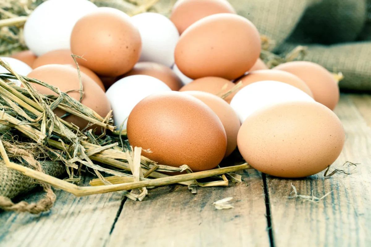 The Most Common Mistake With Home-Laid Eggs That Seems Careful but Actually Harms Them